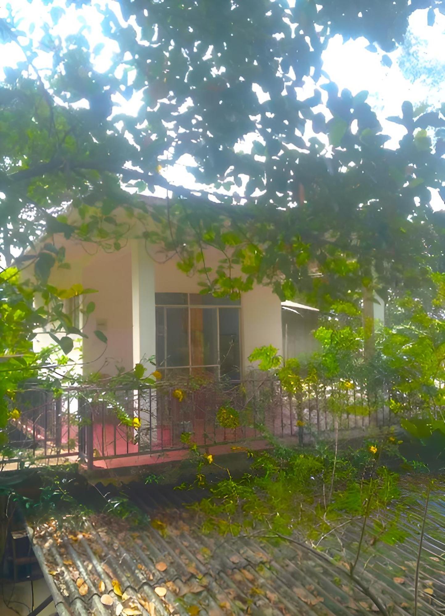 Senehas Homestay Ella Esterno foto